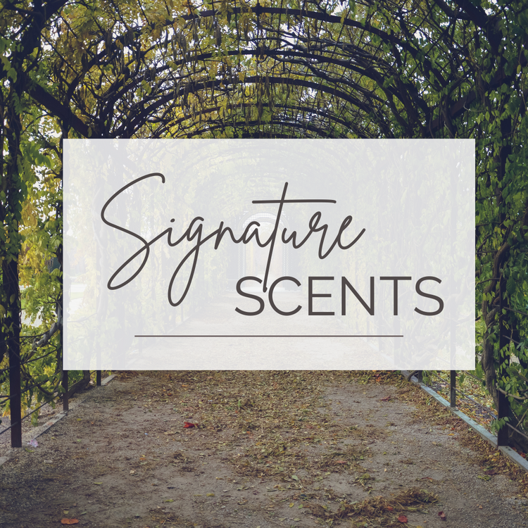 The Signature Scents