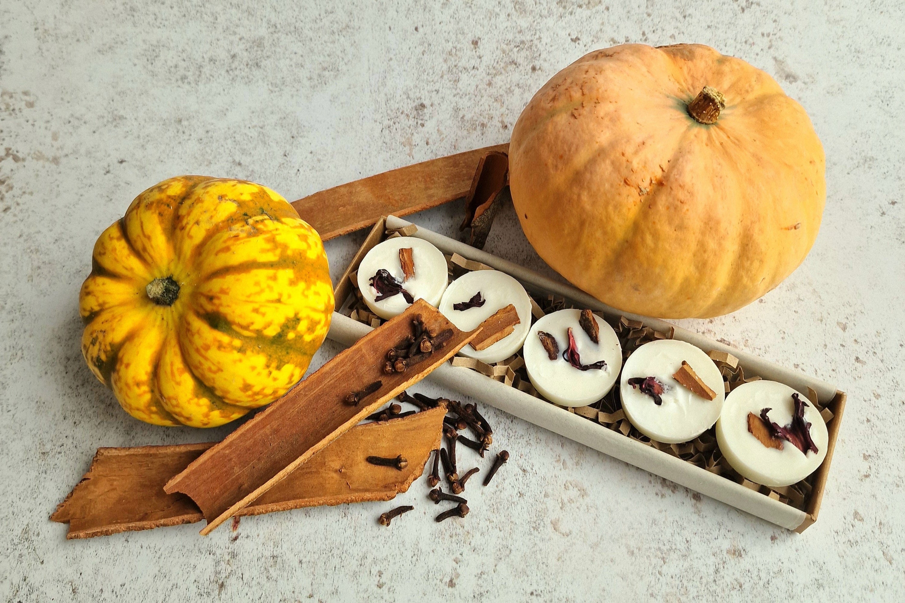Pumpkin spice-themed soy wax melts including, cinnamon sticks, wax melts.