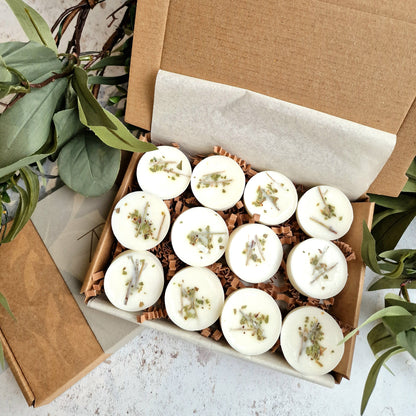 Christmas Melt Box - Set of 12 (Single Scent)