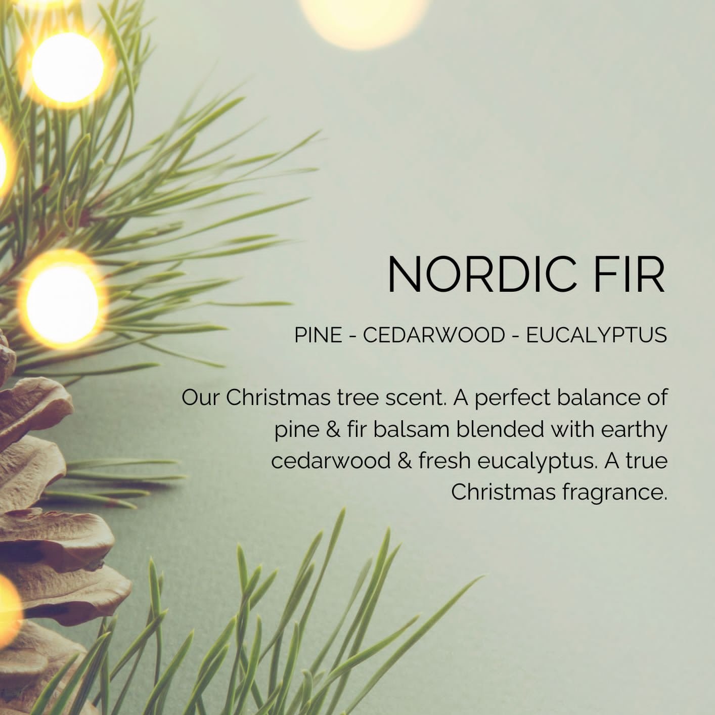 Nordic Fir Scented Candle 30cl